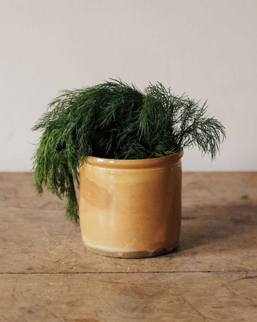Savoie Preserving Pot - Small