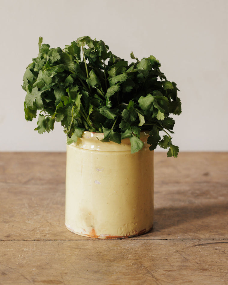 Savoie Preserving Pot
