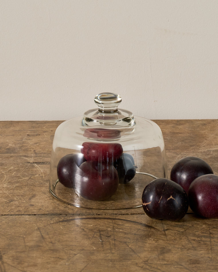 Vintage Glass Cloche - II