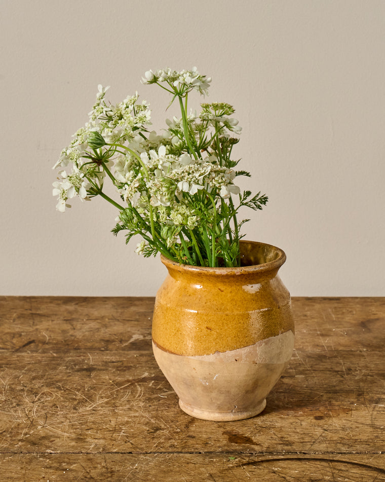 Rare Petite Yellow Confit Pot