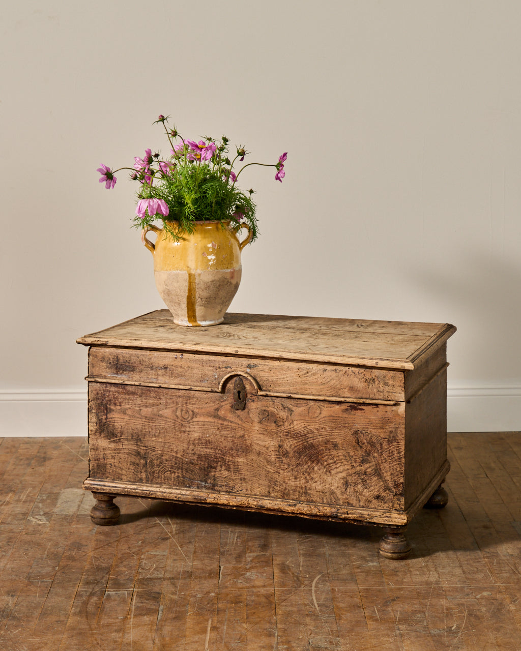 19th c. Oak Trunk