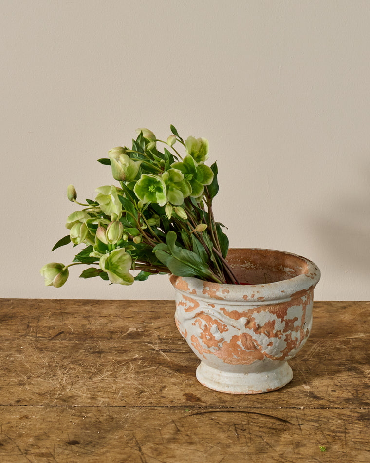 French Terracotta Pot