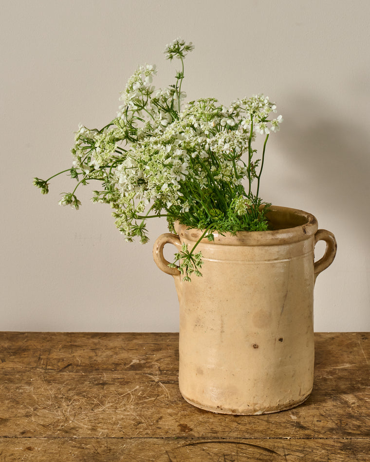 Sardine Preserving Pot