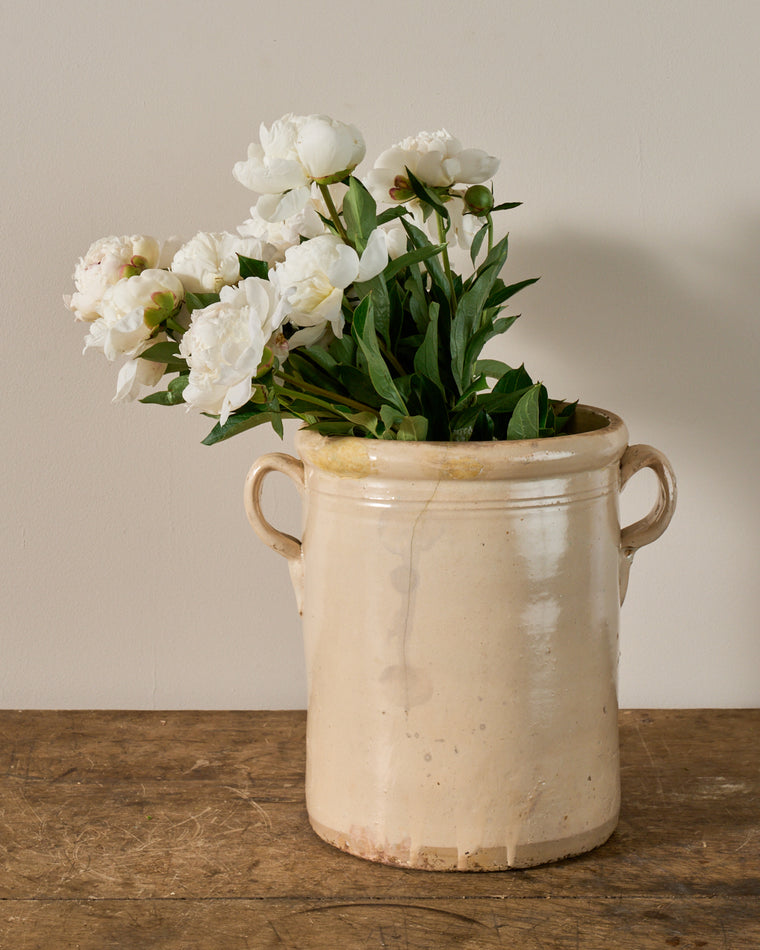 Sardine Preserving Pot - I
