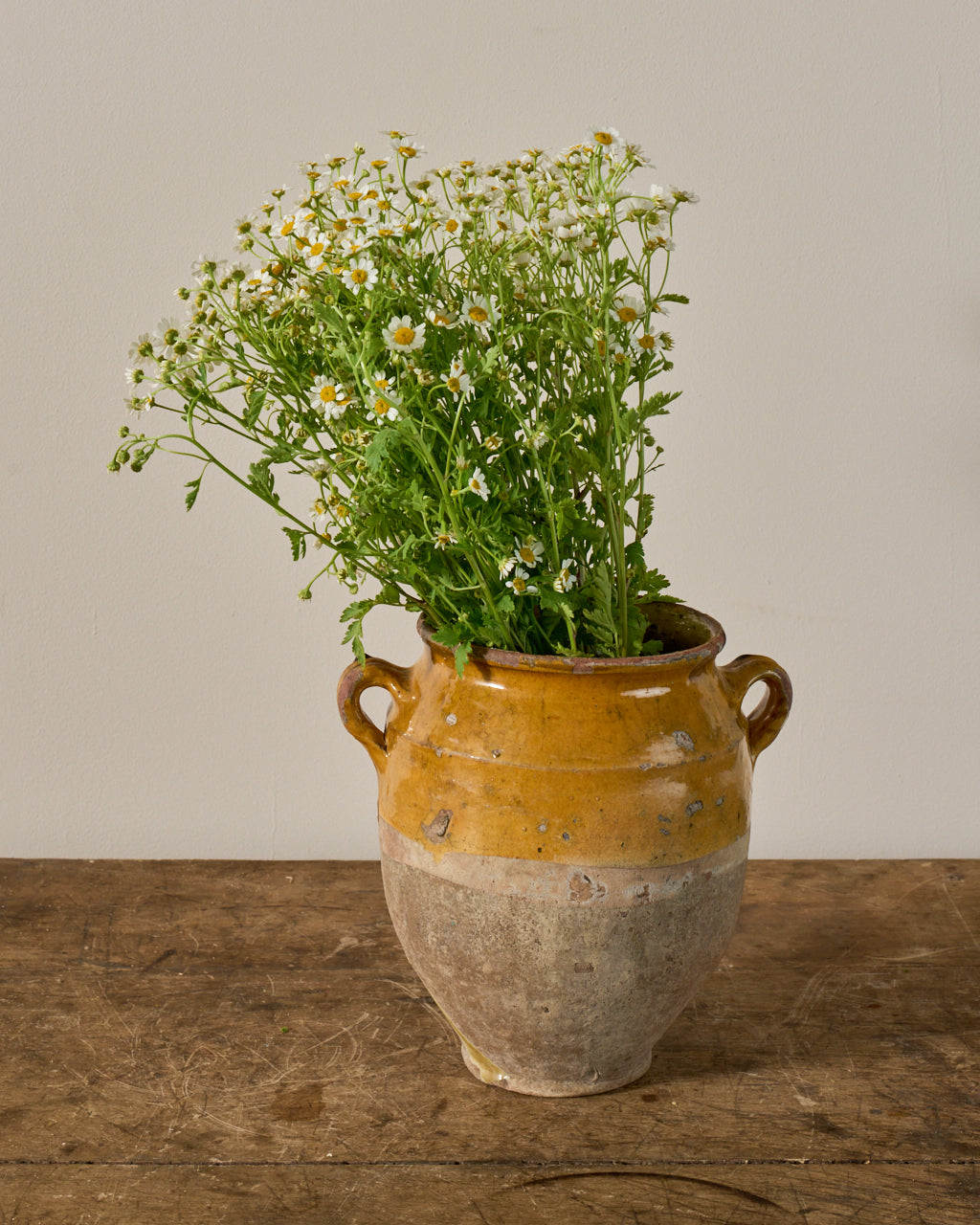 Yellow Confit Pot