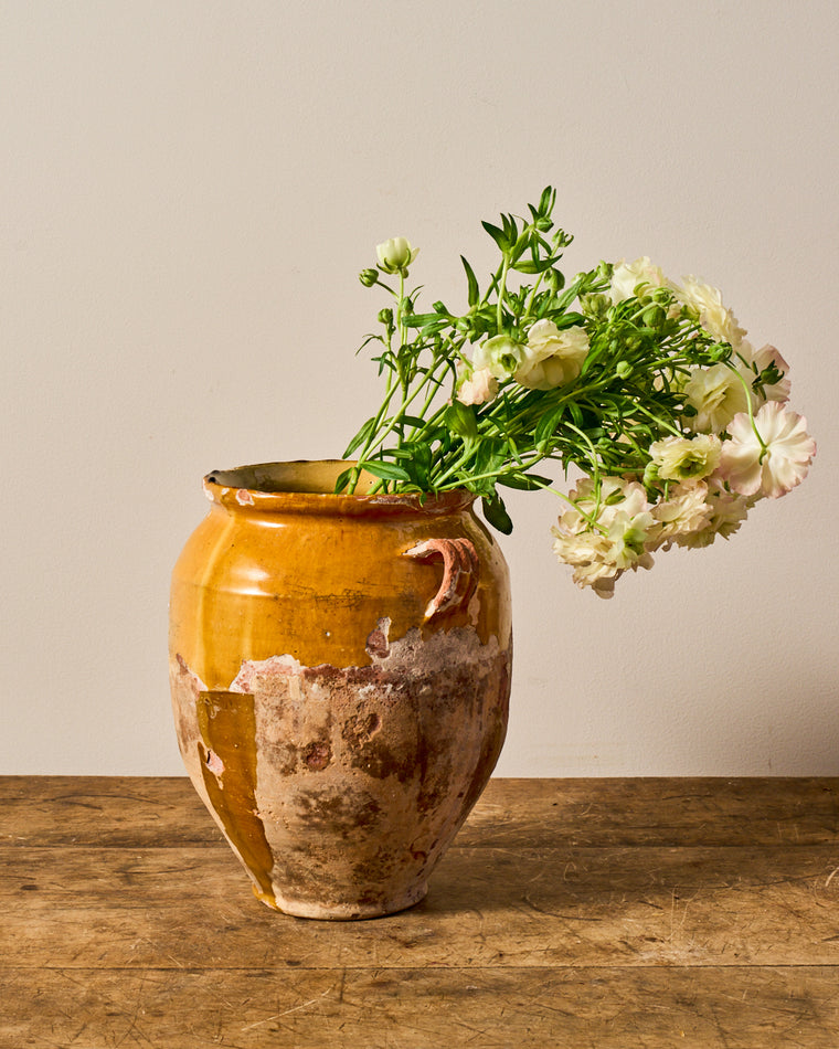 Yellow Confit Pot - IV