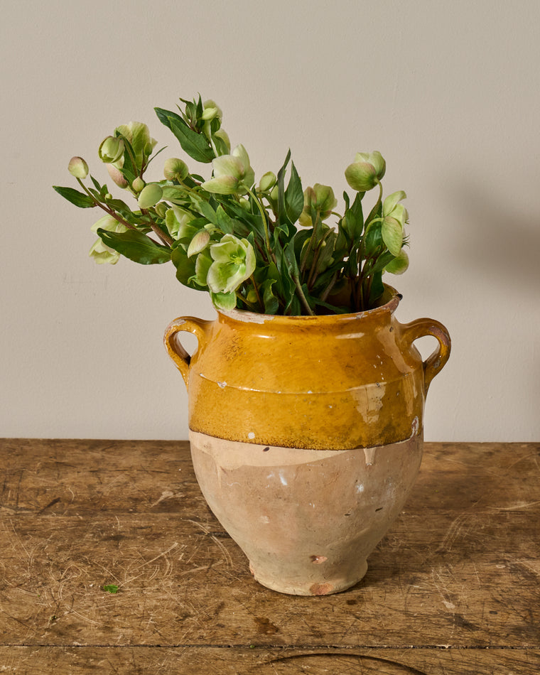 Yellow Confit Pot - I