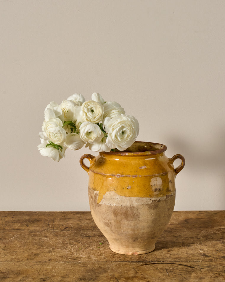 Yellow Confit Pot