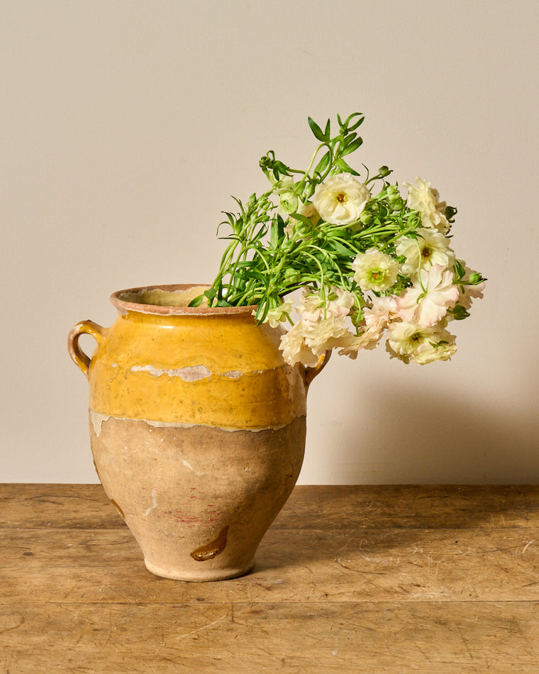 Yellow Confit Pot - III