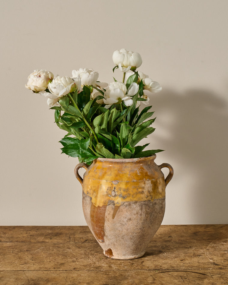 Yellow Confit Pot