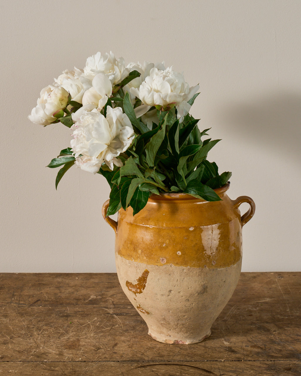 Yellow Confit Pot - IV