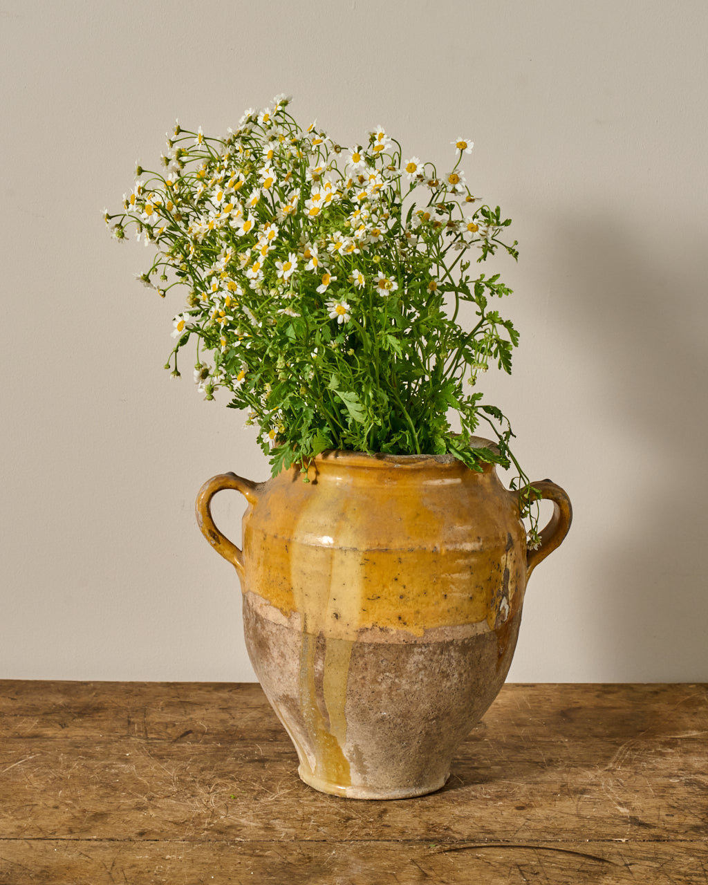 Yellow Confit Pot