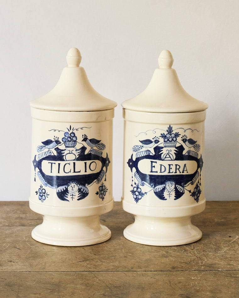 Rare Italian Botanist Pot