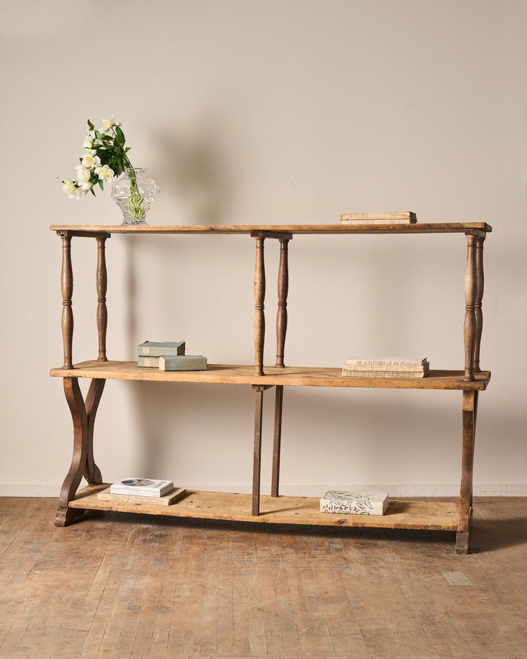 The Lyon Book Shelf