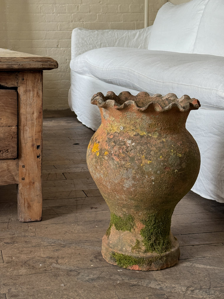 Scalloped Terracotta Pot