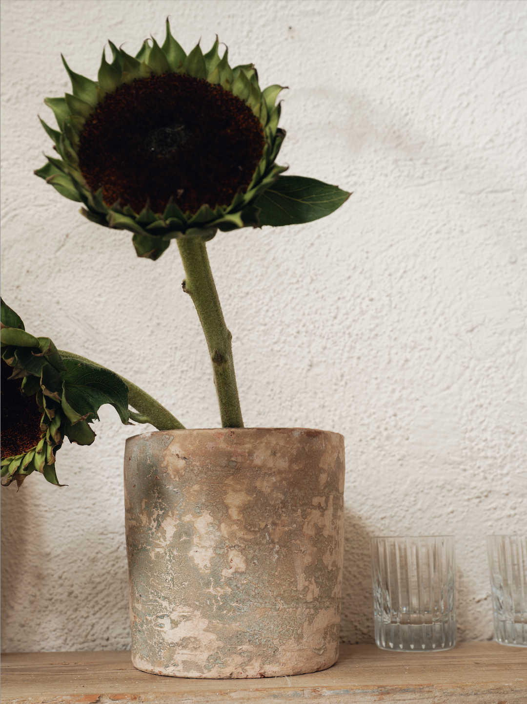 Cream Patina Pot
