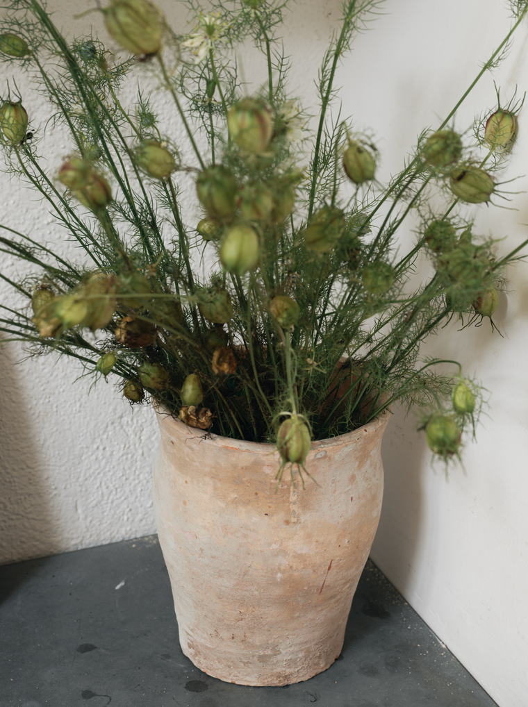 Cream Patina Pot - Curve
