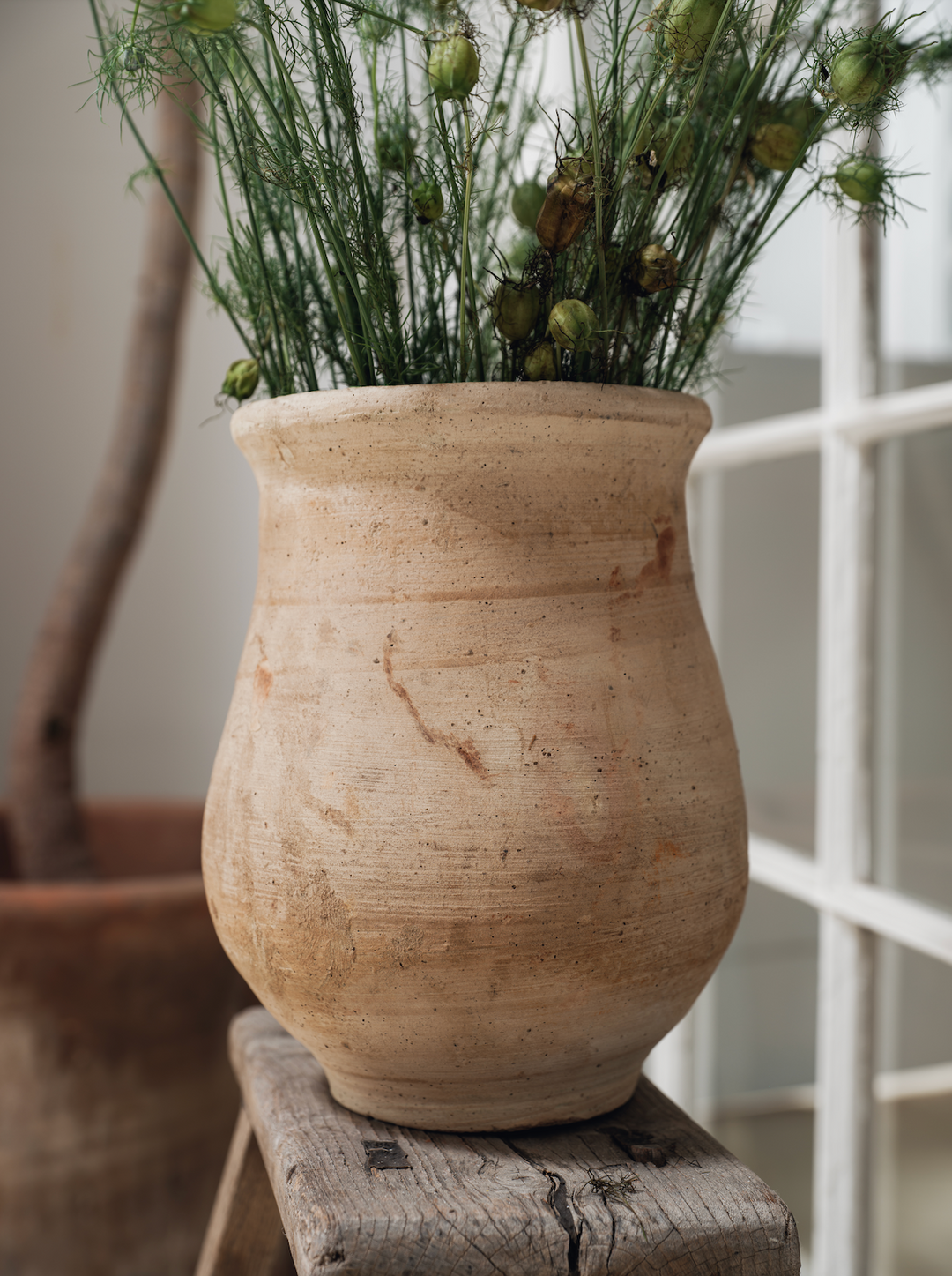 Egyptian Cream Planter