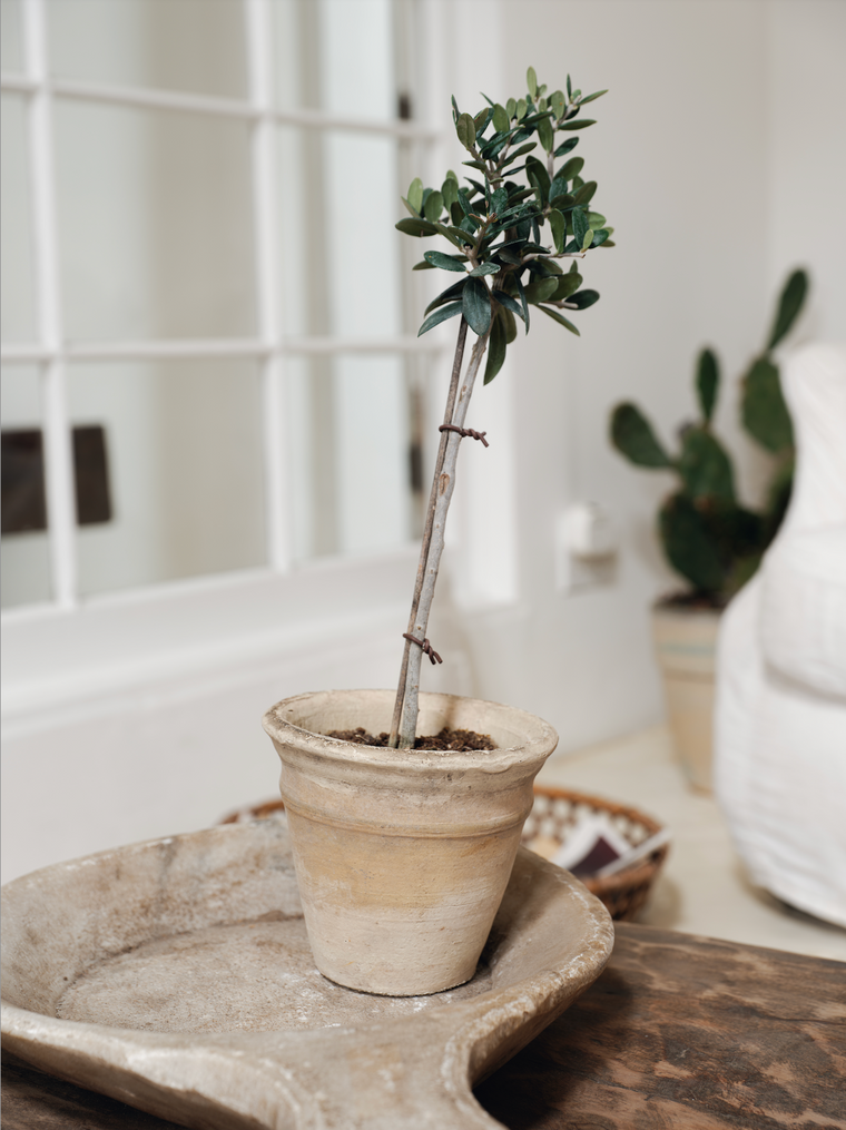 Egyptian Swirl Planter