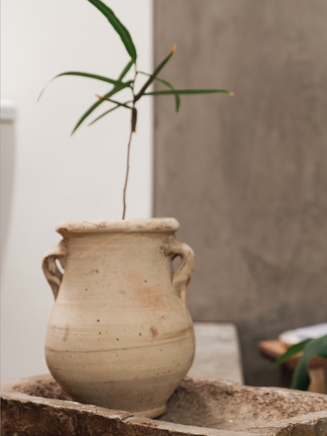 Mini Egyptian Pot - Handles