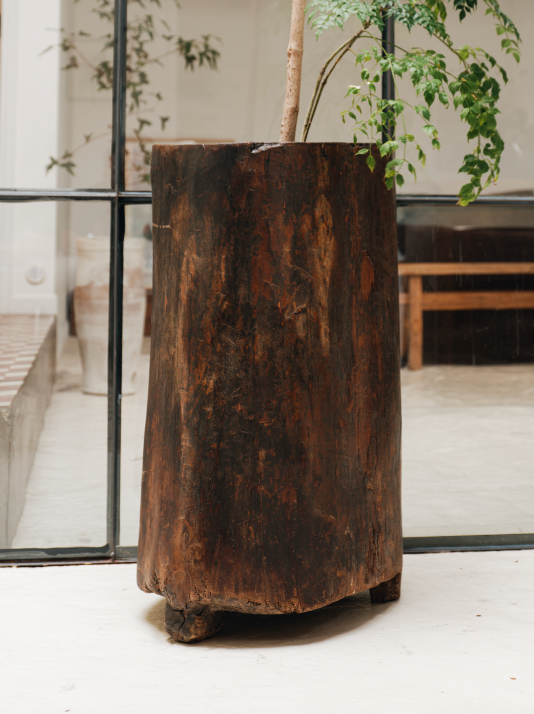 Naga Planter - 1
