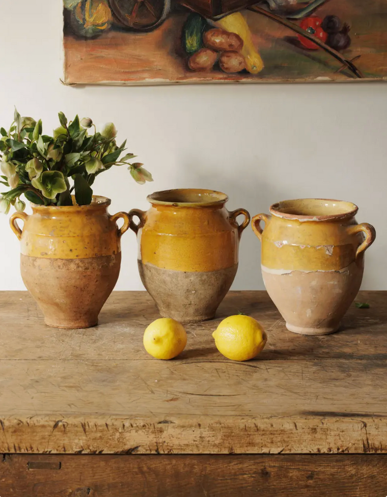 Petit Yellow Confit Pots