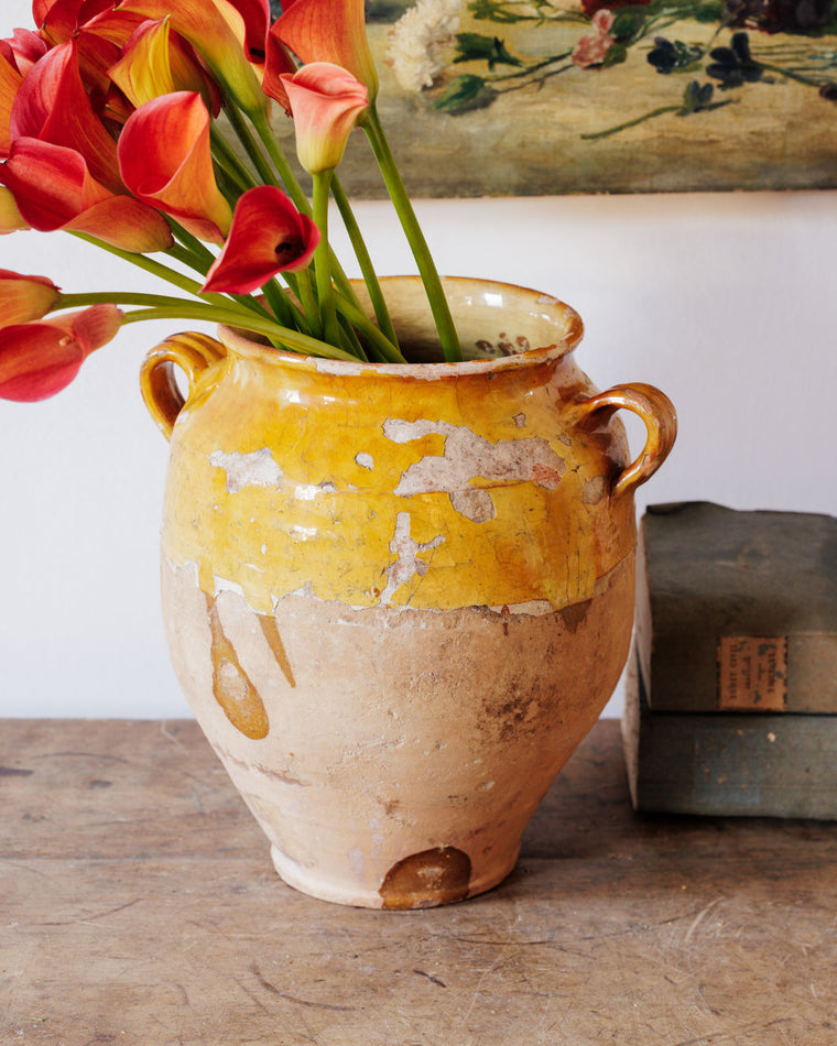 Yellow Confit Pot - III