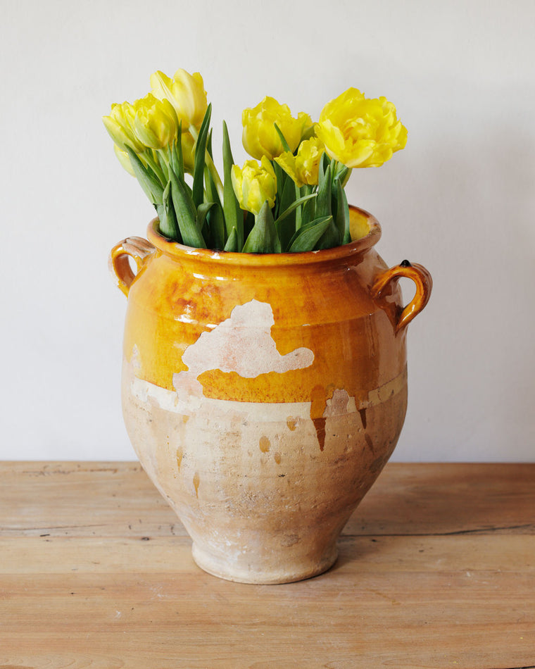 Ochre Confit Pot