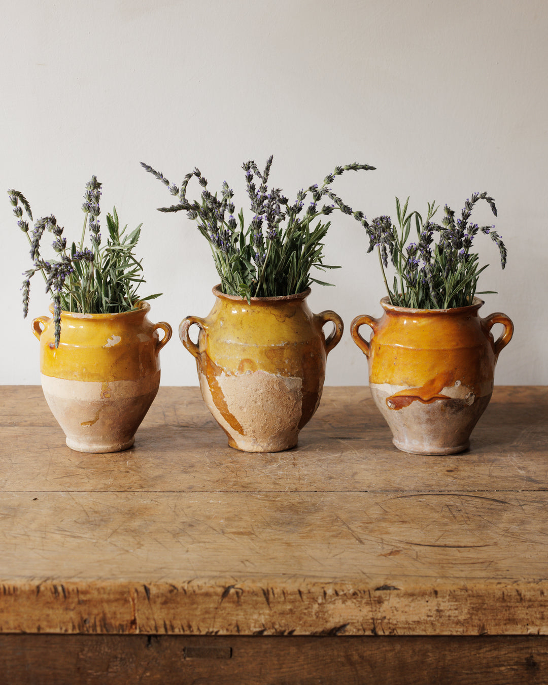 Petit Confit Pots