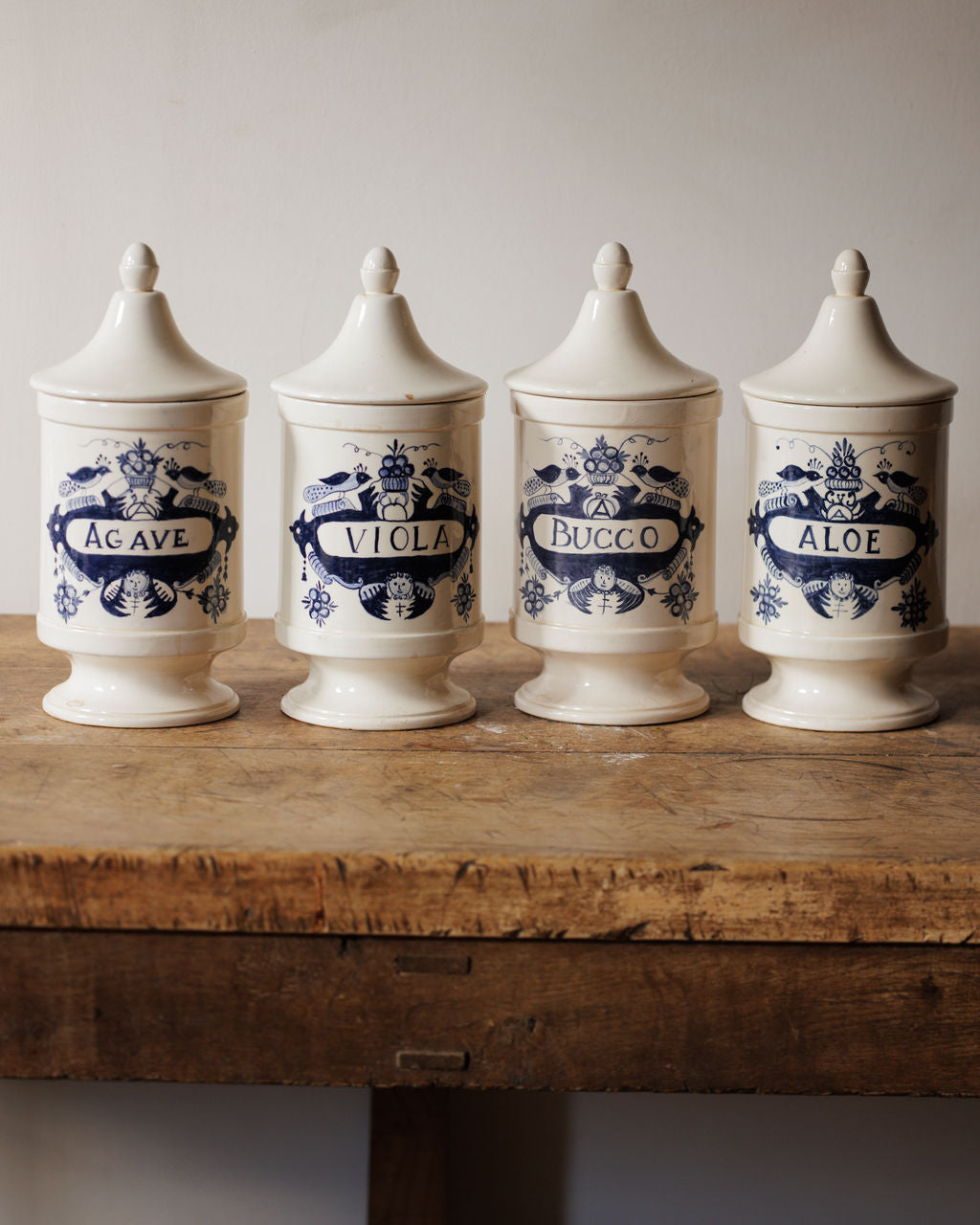 Italian Botanist Pot