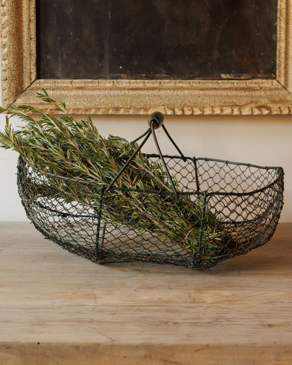 Harvesting Wire Basket