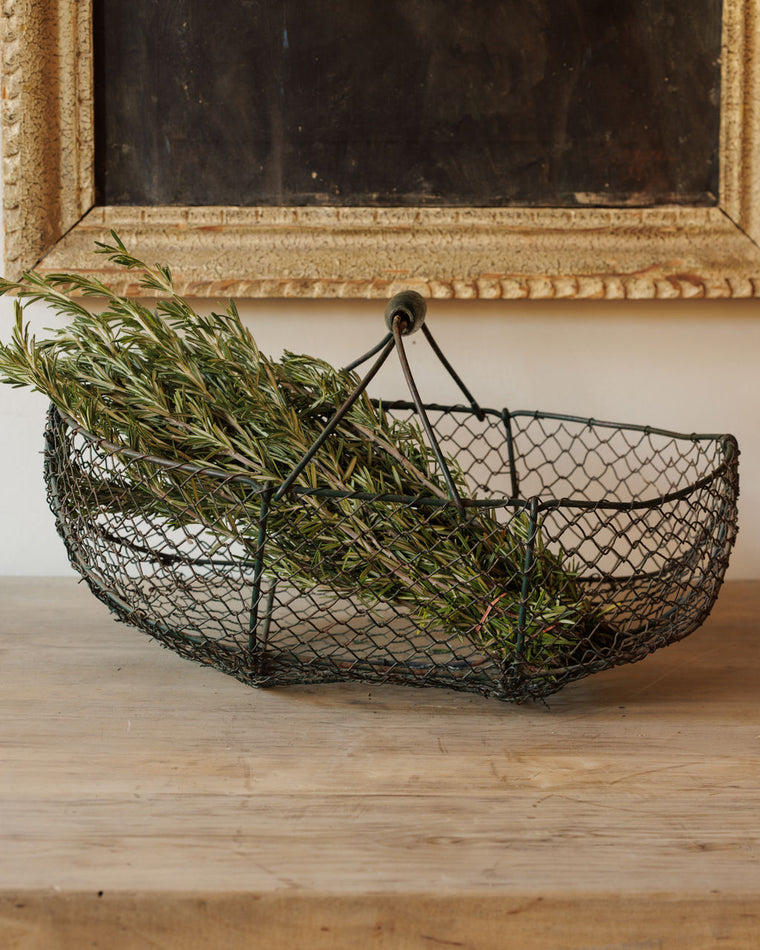 Harvesting Wire Basket
