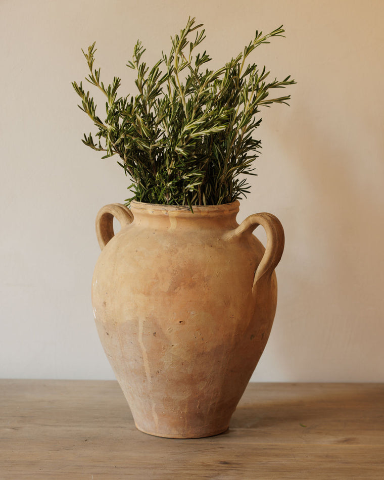 Rare Confit Pot