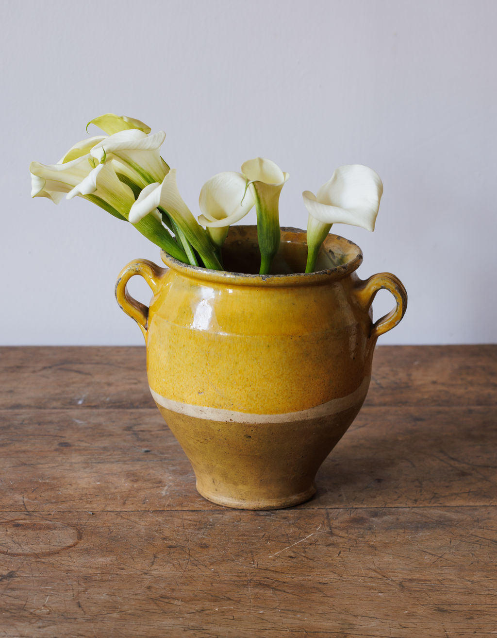 Yellow Confit Pot - Small