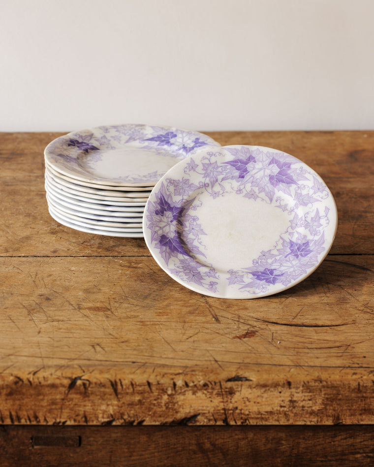 Bryonia Salad Plate