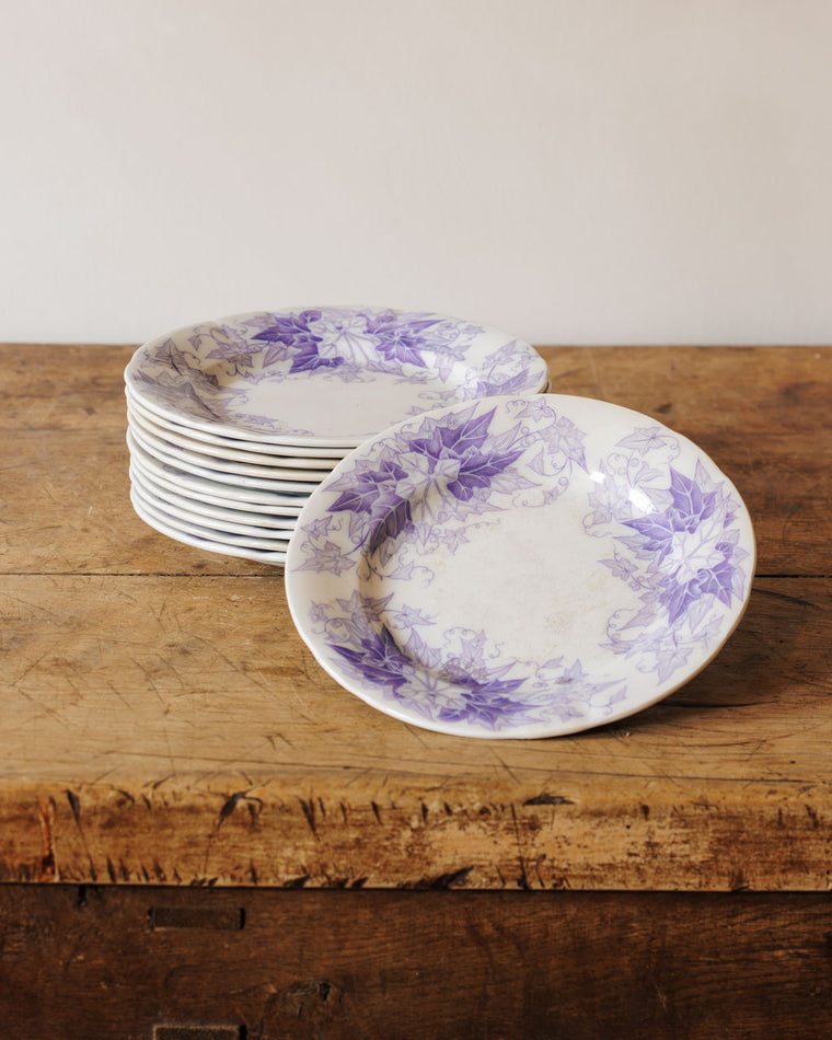 Bryonia Dinner Plate