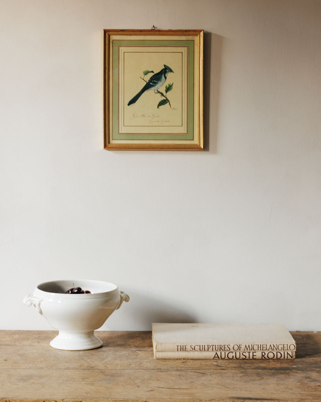 Bird Framed Print - I