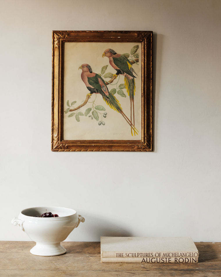 Bird Framed Print - III