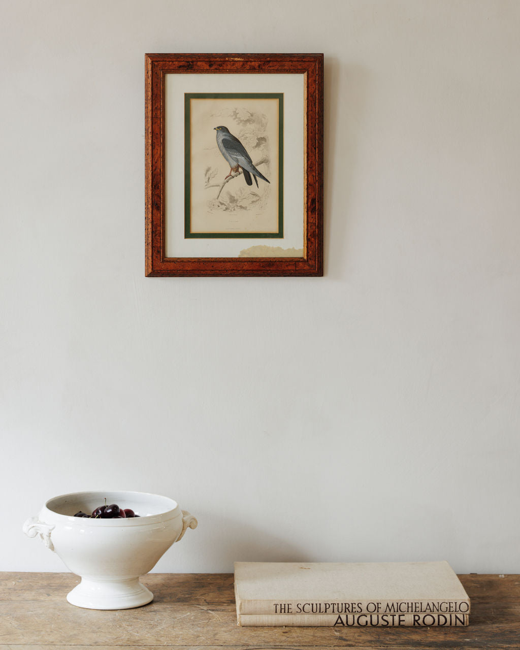 Bird Framed Print - II
