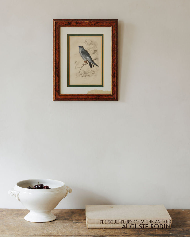 Bird Framed Print - II