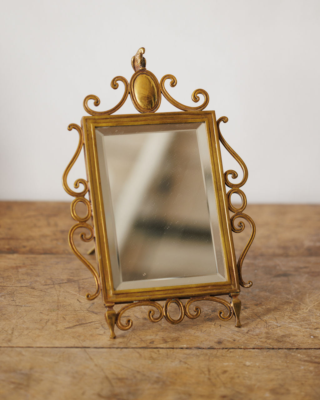 The Parrot Vanity Mirror