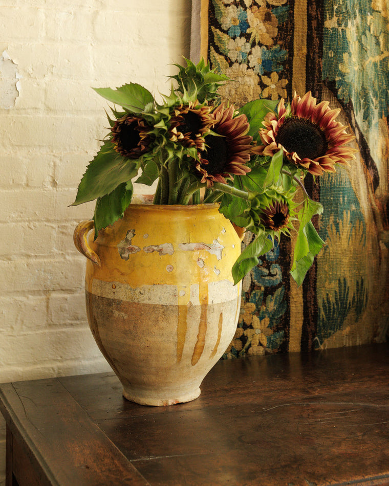 Yellow Confit Pot - Extra Large