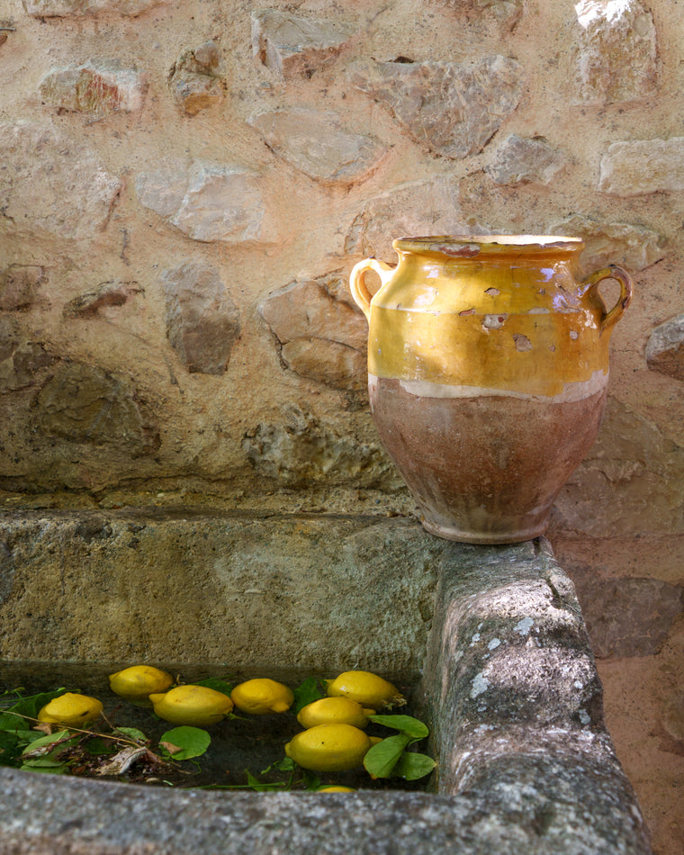 Yellow Confit Pot - Large
