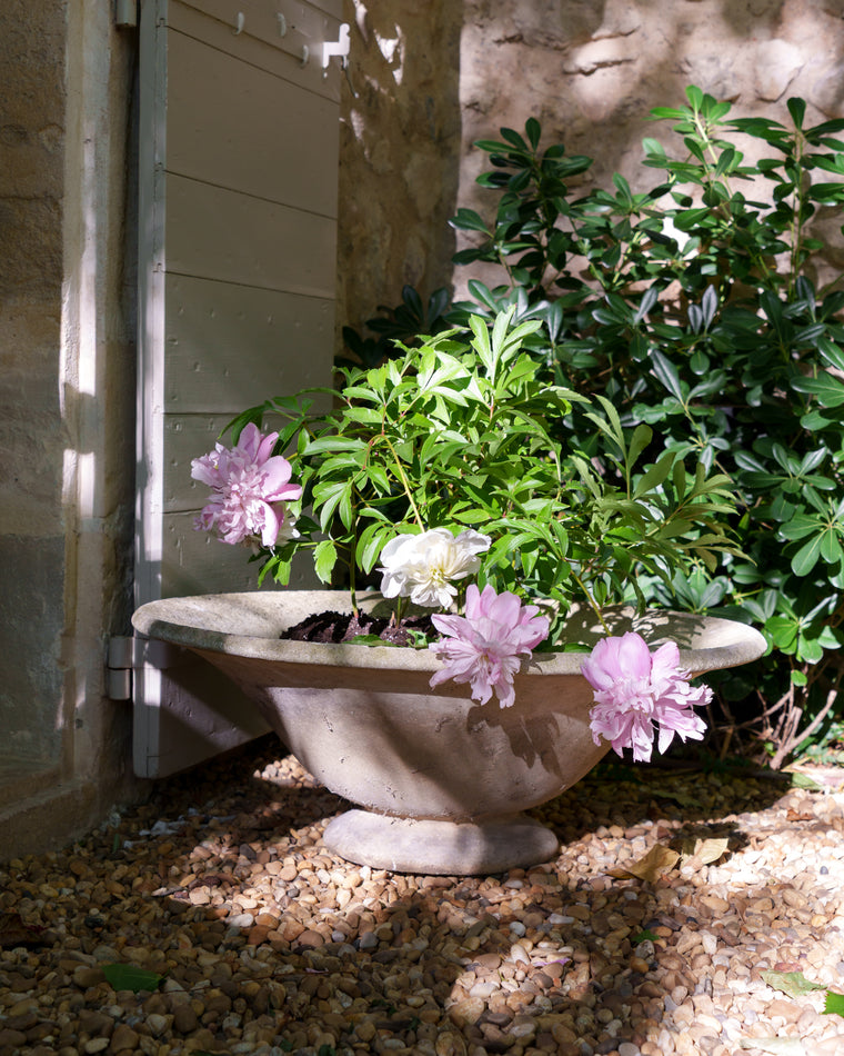 Concrete Garden Planter