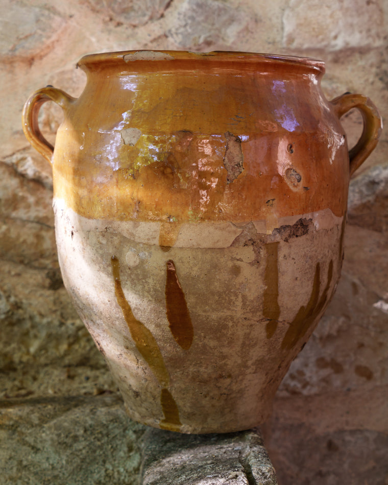 XL Yellow confit Pot