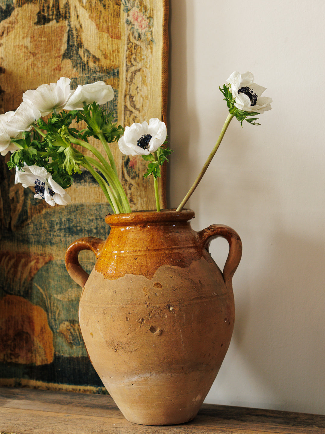 Provence Olive pot