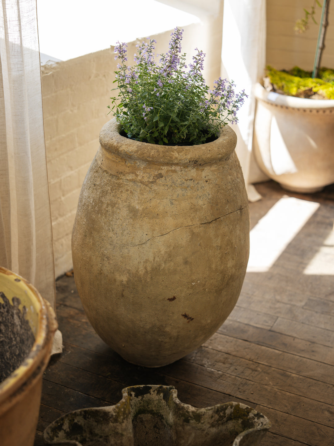 Antique Biot Olive Jar