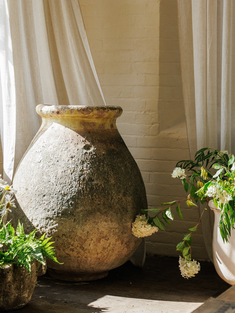 Early 19th Century French Biot